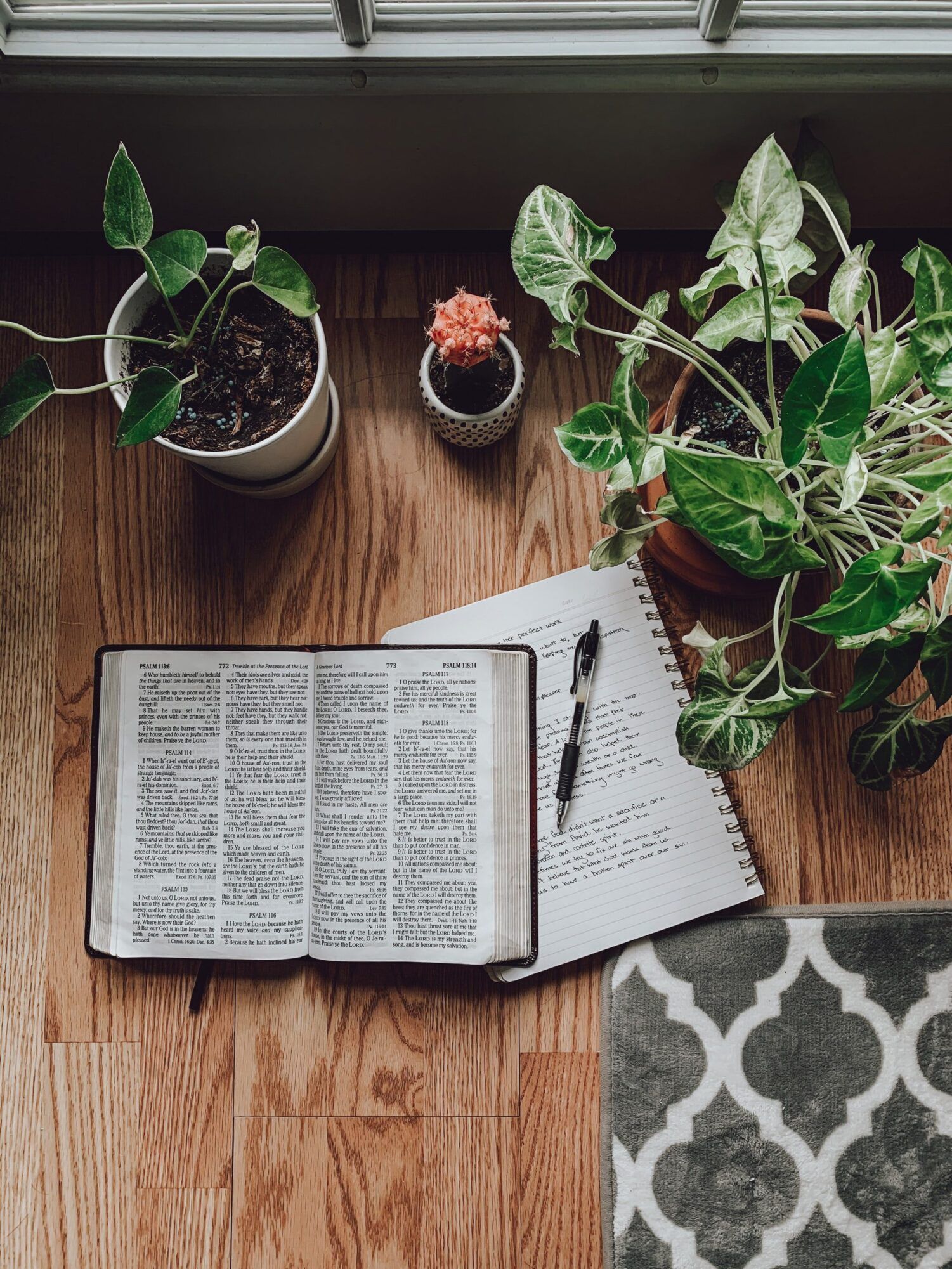 rachel strong Bible journal unsplash scaled