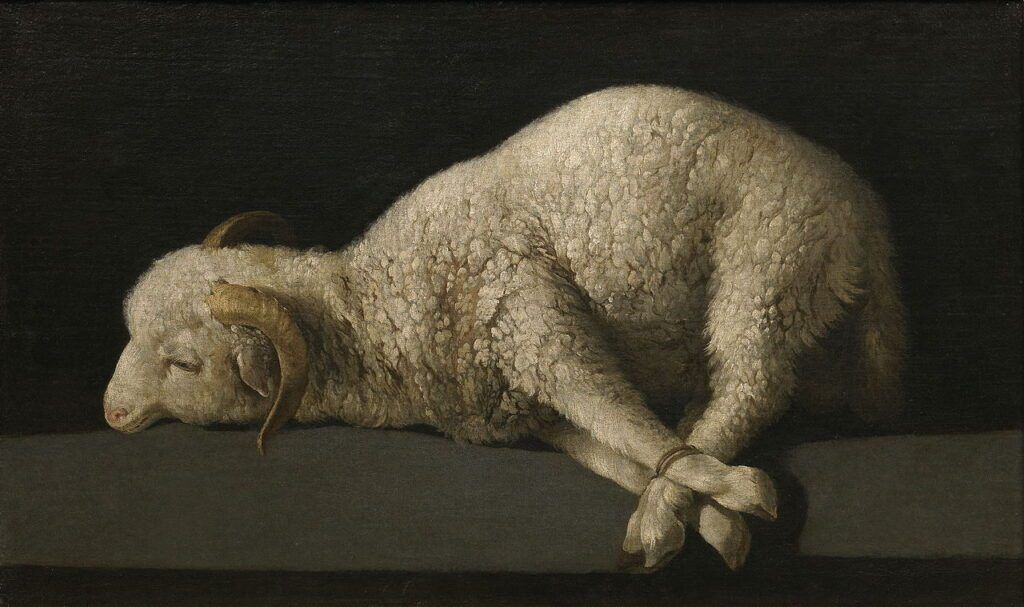 The Passover Lamb - The Daily Declaration