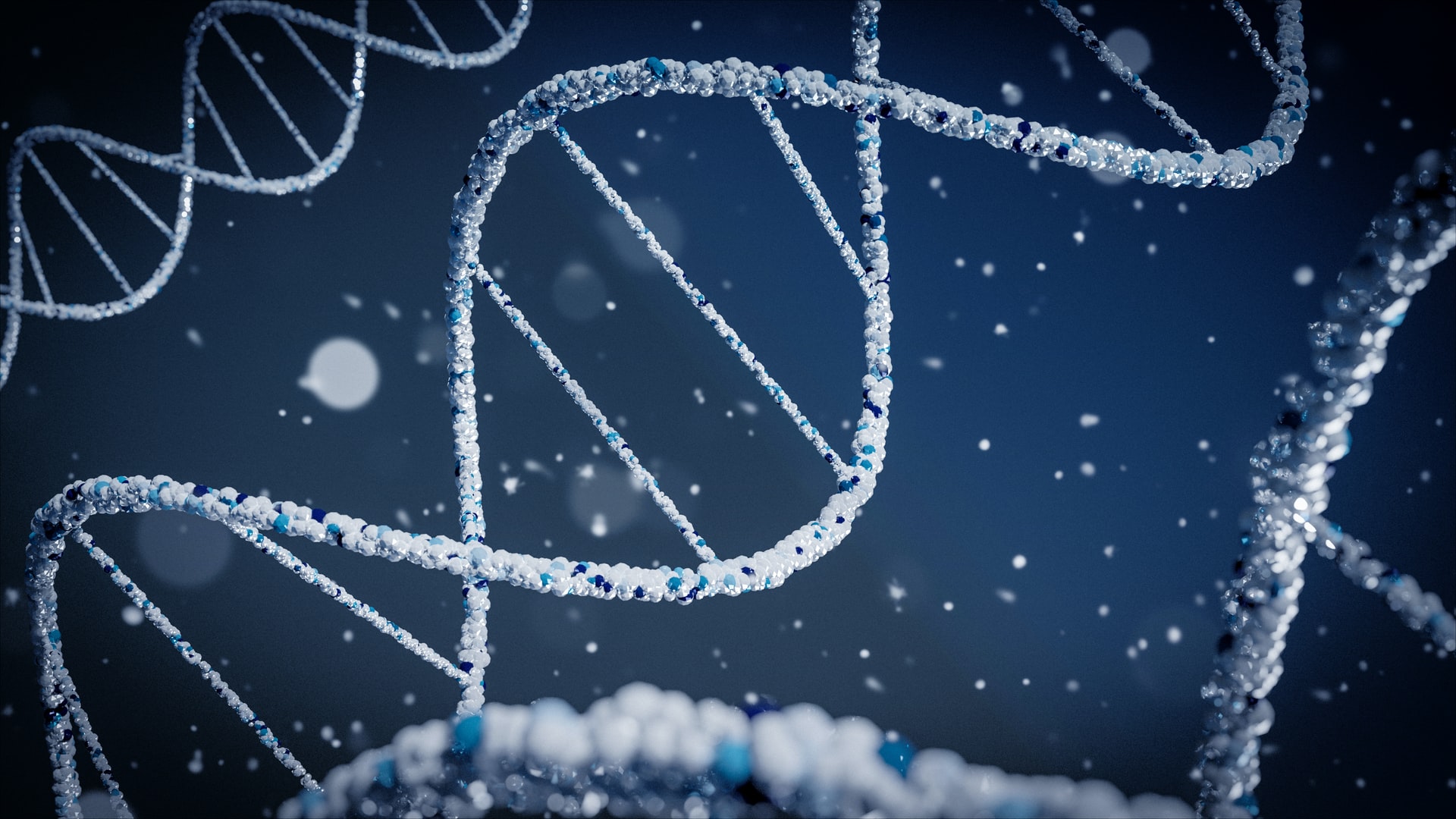 DNA - evolutionary morality