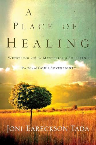 A Place of Healing book
