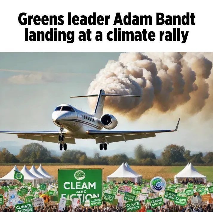 Greens Adam Bandt climate rally
