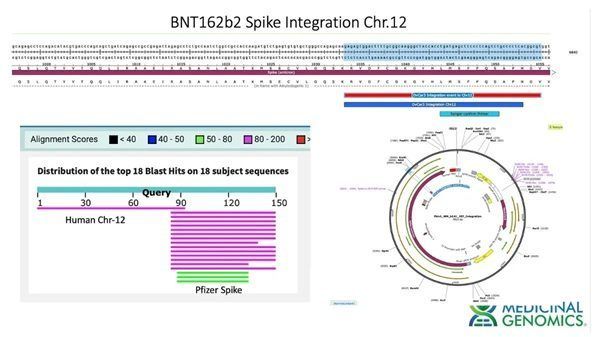 Pfizer DNA ovarian cancer