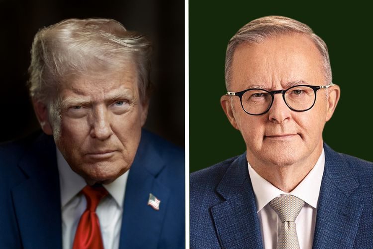 Trump Albanese