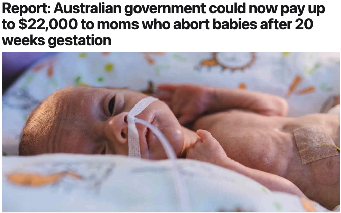 Not the Bee Abortion
