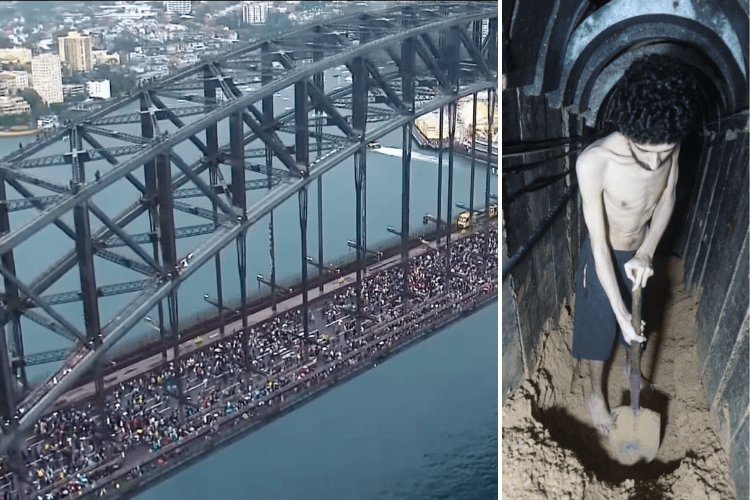 Palestinian Sydney Harbour