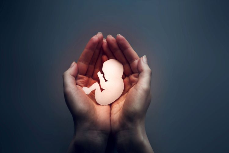 abortion
