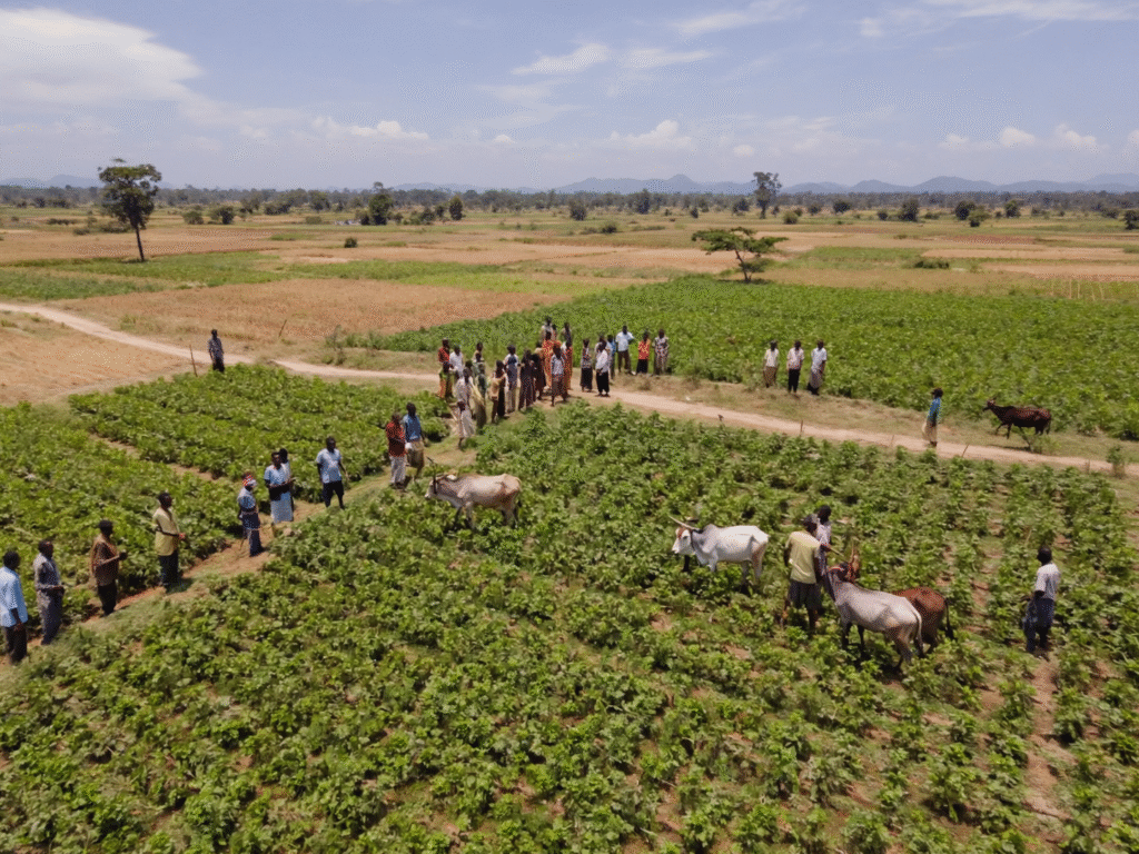 Nigerian Christian farmers