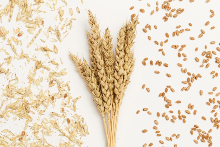 Wind Holy Spirit Wheat Chaff