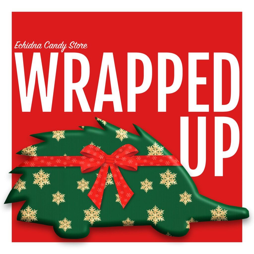 Australian Christian Records is giving away Canberra artist Echidna Candy Store's new song 'Wrapped Up' 