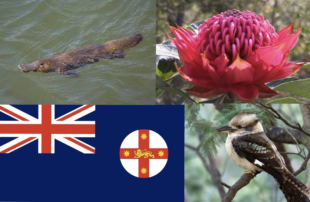 NSW symbols