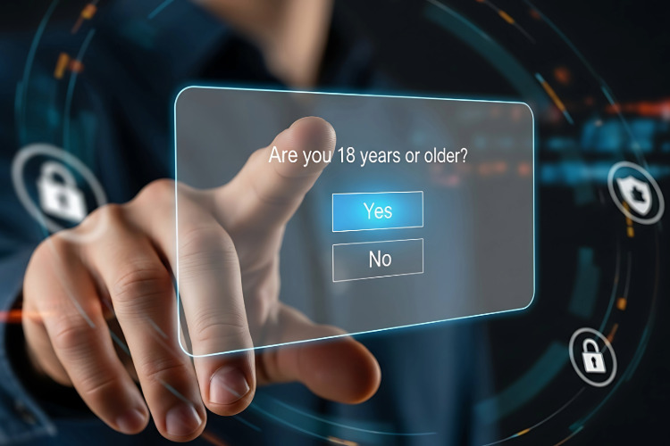 online age verification