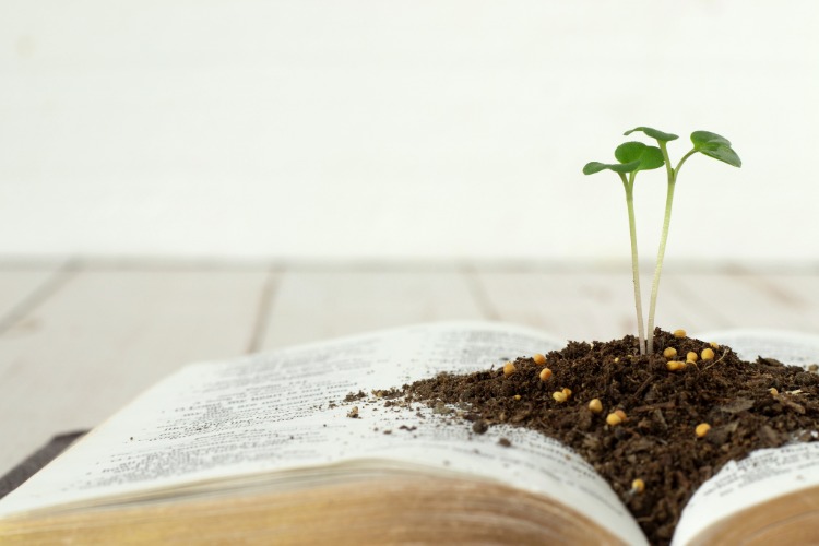 The Three Tasks of the Fruitful Soul Winner