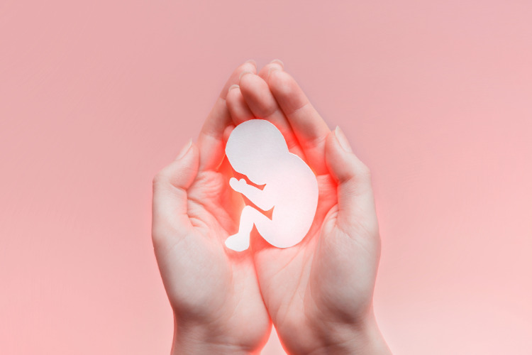 abortion