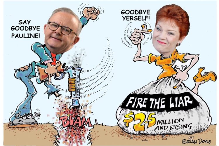 Fire the Liar One Nation