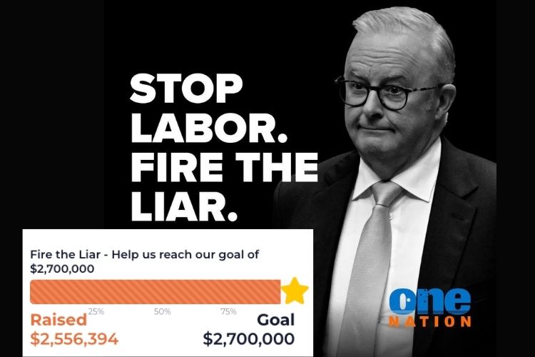 One Nation Fire the Liar 2.5 m