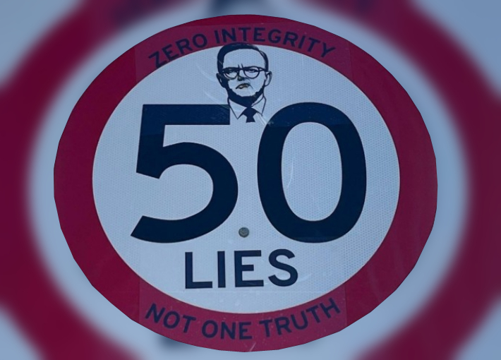 One Nation Fire the Liar