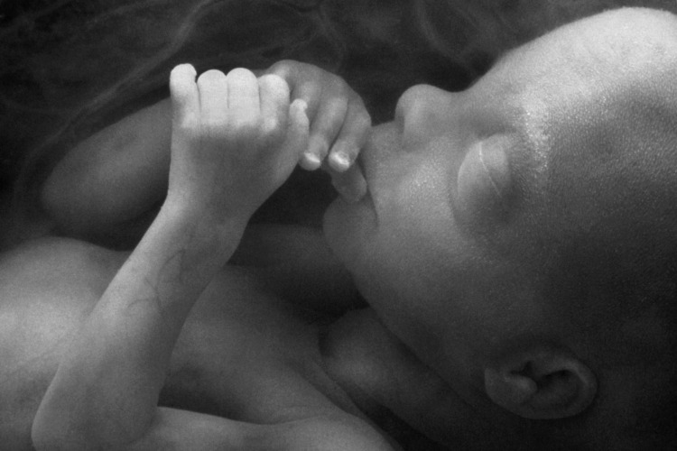 PHPA Issues Media Releases on SA Bill to Restrict Late-Term Abortion