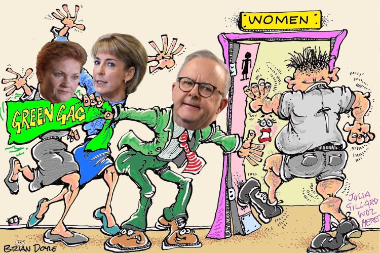 Sex Discrimination Act Labor Greens Vote Down