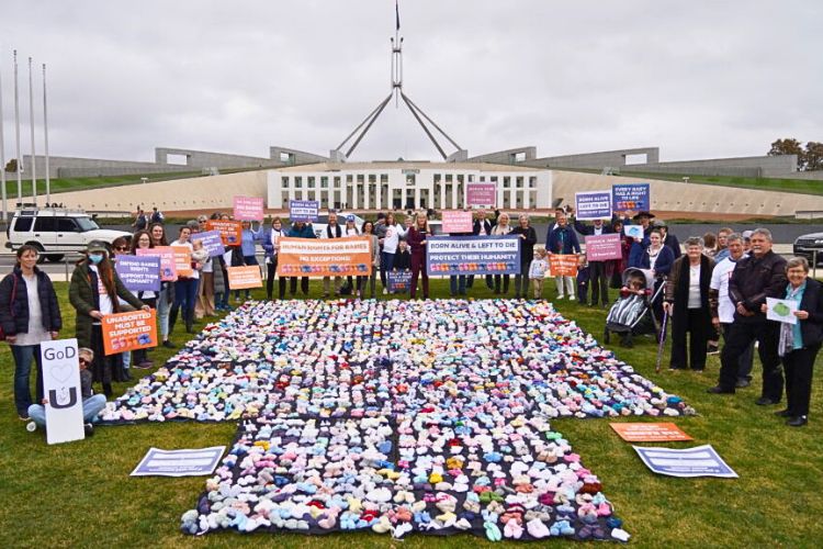 Babies Booties Born Alive Parliament House