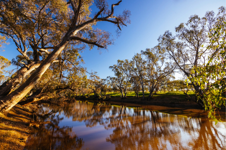 Murray-Darling Basin Campaspe River