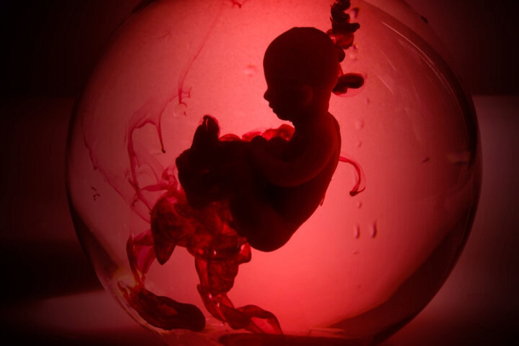 Victorian Labor Promises Free Abortions