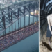 Palestinian Sydney Harbour